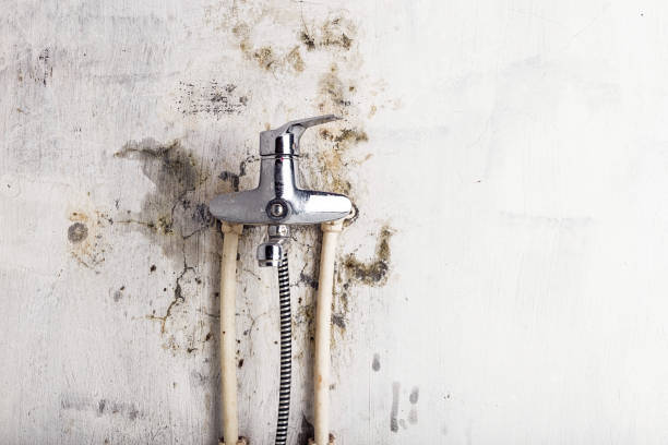 Best Residential Mold Removal  in Memphis, TX