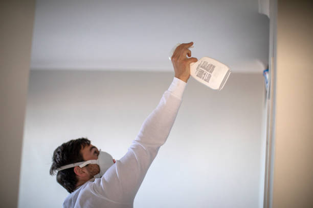 Best Office Mold Removal Services  in Memphis, TX