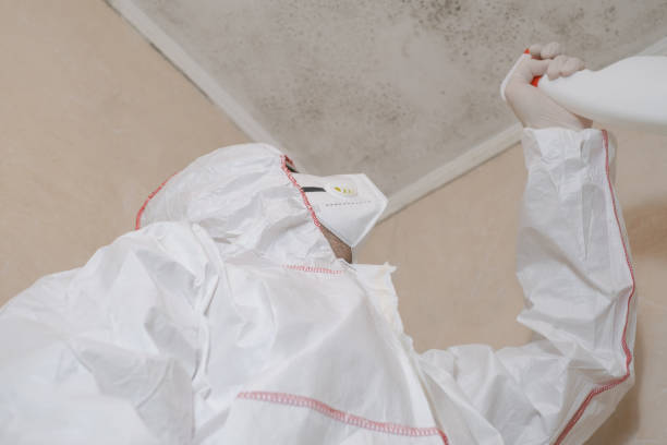 Best Mold Remediation  in Memphis, TX
